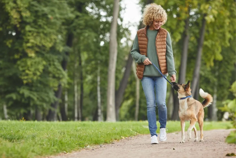 Ciekawostki i porady dotyczące spacerów z psem: Od smyczy po interakcje społeczne