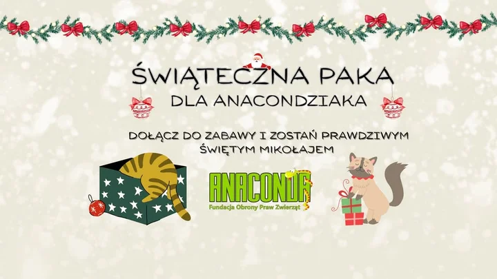 Grafika promocyjna wydarzenia Świąteczna paka dla Anacondziaka — podaruj radość futrzakom