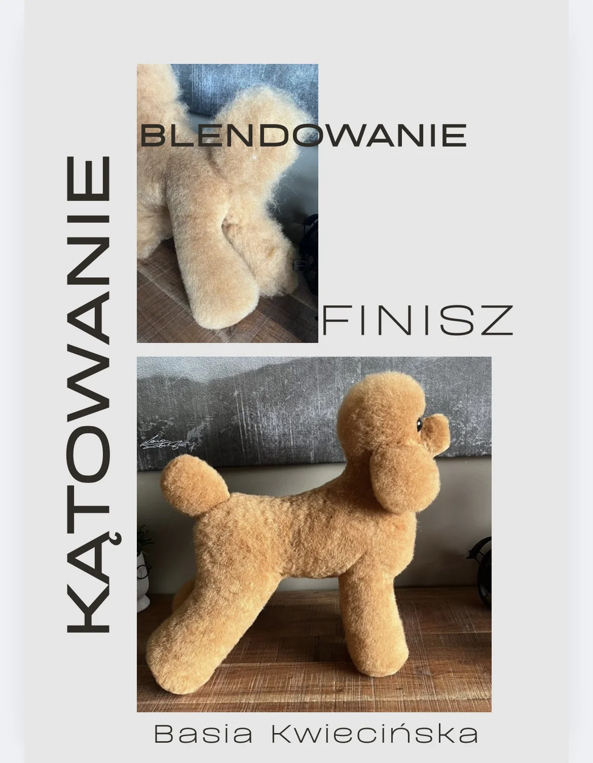 Grafika promocyjna wydarzenia Szkolenie z technik kątowania, blendowania i finiszu w stylizacji łap u doga