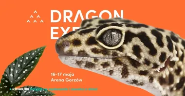 Grafika promocyjna wydarzenia Dragon Expo — event terrarystyczny i botaniczny w Gorzowie Wlkp