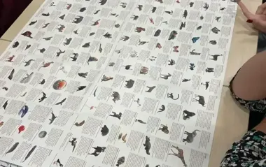 Kontynenty na wyciągnięcie ręki - biblioteka zabrała uczestników w świat