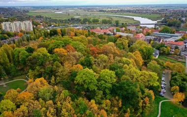 59 drzew i 40 m² krzewów. Jesienne nasadzenia w Gorzowie
