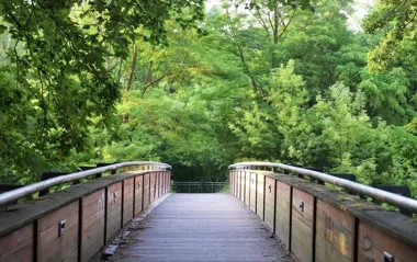 Park Słowiański będzie jaśniejszy. Na oświetlenie trasy przeznaczono 269 tys. zł