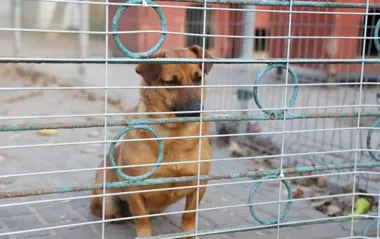 Azorki czekają na zmianę. Miasto ma już plan, ale inwestycja idzie etapami